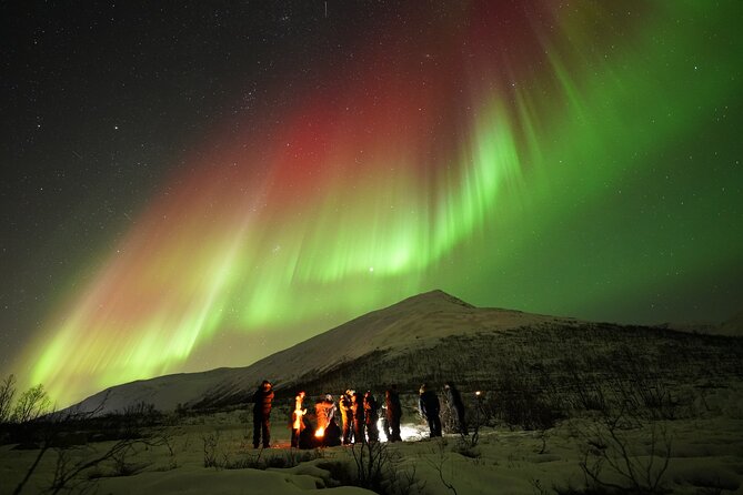 Aurora tour with free portrait and bonfire - What the evening can look like
