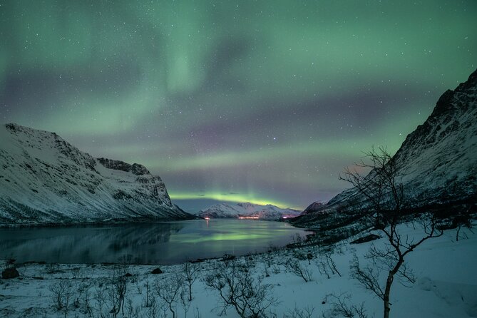 Auroras Hunt - Tour in Spanish, Northern Lights Chase in Spanish - The long ride back to Tromsø
