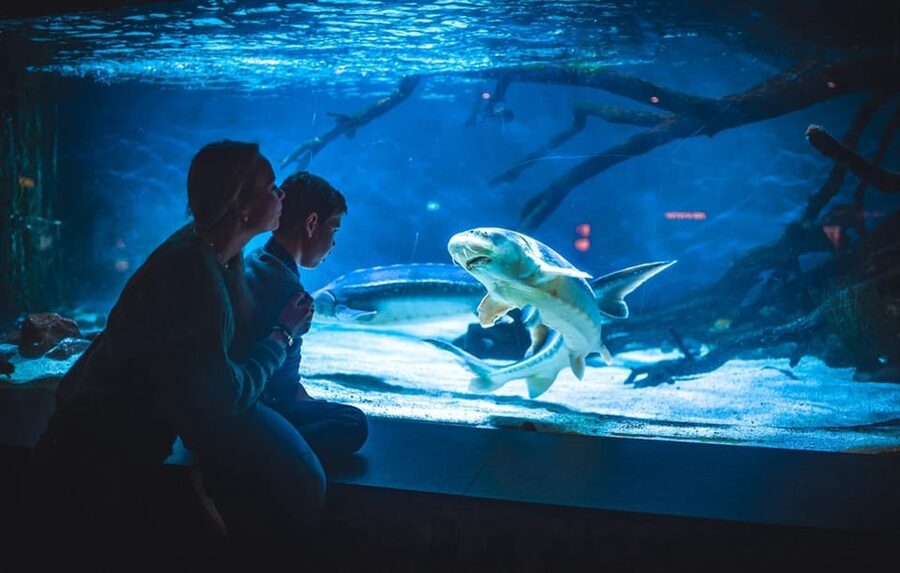Bergen: Bergen Aquarium Entry Ticket - Key points to know before you go