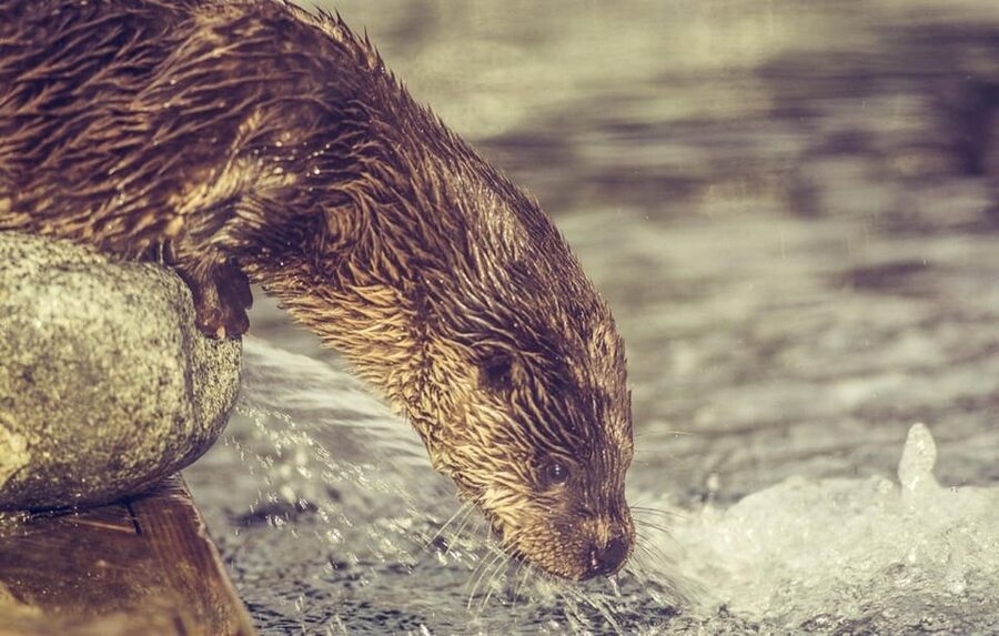 Bergen: Bergen Aquarium Entry Ticket - What the Bergen Aquarium visit is really like