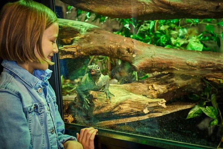 Bergen: Bergen Aquarium Entry Ticket - European otters add a Norwegian flavor