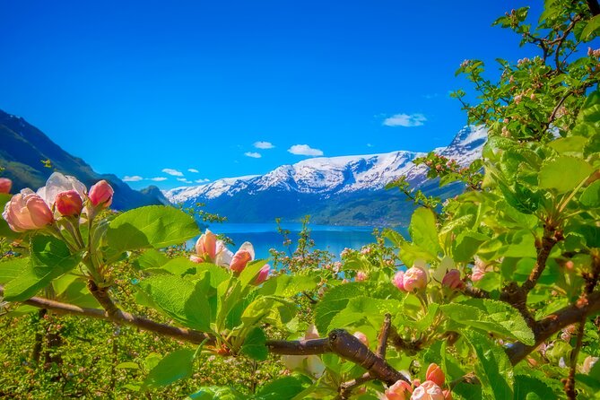 Bergen Beyond Day trip - Steinsdalsfossen, the day’s main attraction