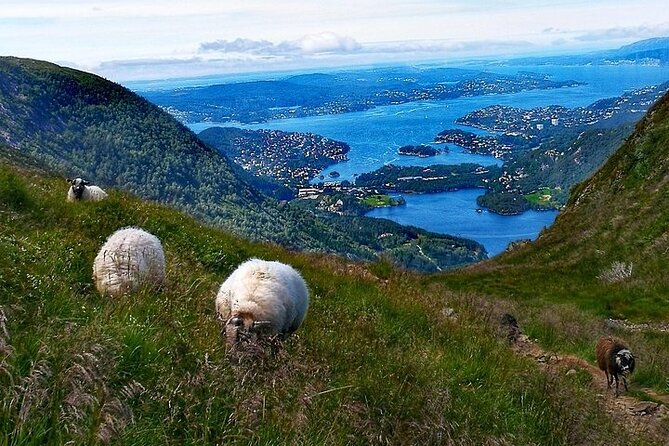 Bergen Classic Private hiking - Walking Vidden’s rocks, mud, and open ground