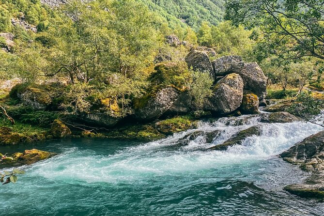 Bergen Day Tour to National Park Folgefonna and Glacier Lake - What the guides add to the experience