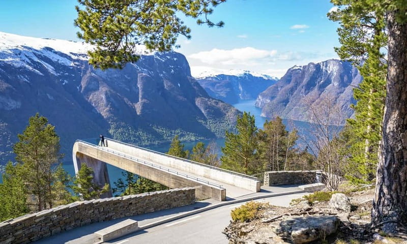 Bergen: Flam Railway, Stegastein and Fjord Cruise Day Tour - Myrdal and the famous Flåm Railway