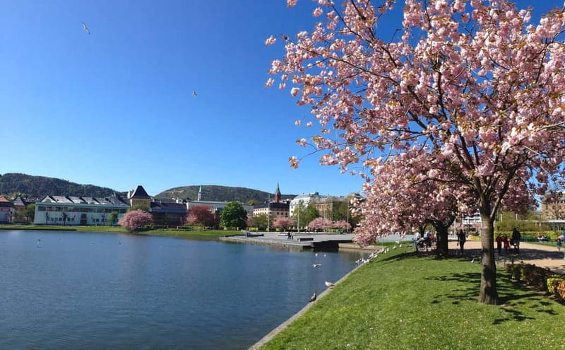 Bergen: Flam Railway, Stegastein and Fjord Cruise Day Tour - Is $2,723 per person good value?