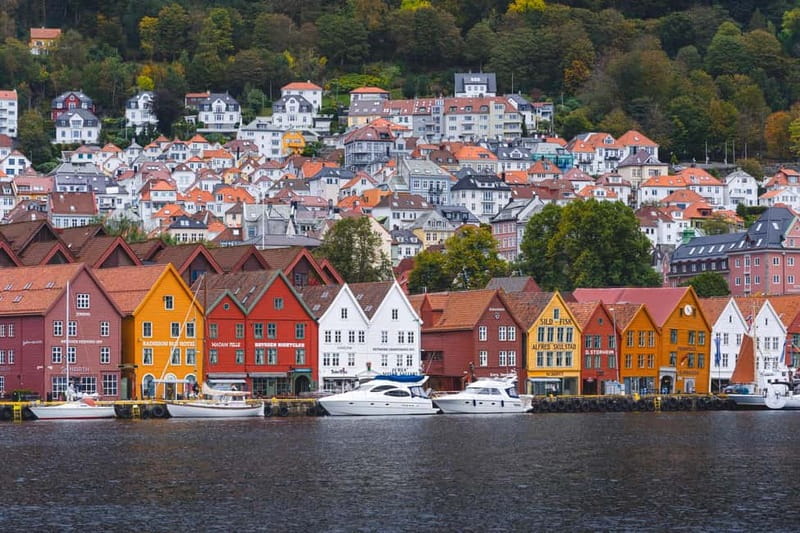 Bergen: Flam Railway, Stegastein and Fjord Cruise Day Tour - Who will enjoy this tour most?