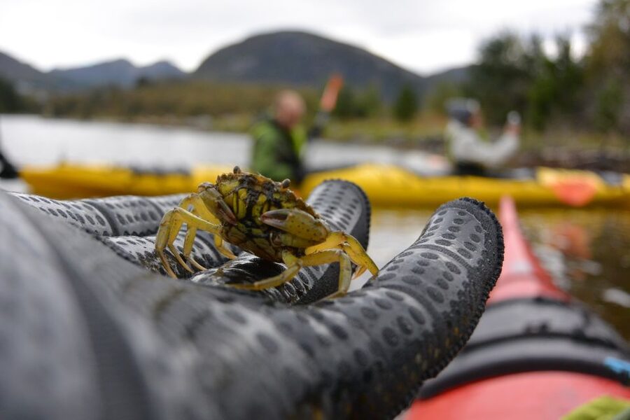 Bergen: Guided Fishing Tour with Outdoor Cooking - Practical details that make the day easier