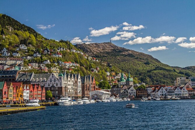 Bergen: Guided Tour by Minibus with Local Guide & Photostops - Why a Minibus Is Useful in Hilly, Rainy Bergen