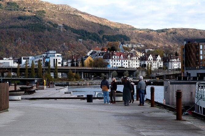 Bergen: Guided Tour by Minibus with Local Guide & Photostops - Solheimsviken and the Puddefjord View