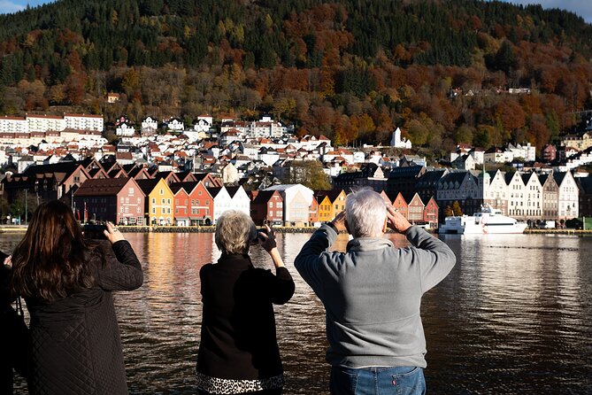 Bergen: Guided Tour by Minibus with Local Guide & Photostops - Nordnes Peninsula and Bergen’s Wooden Past