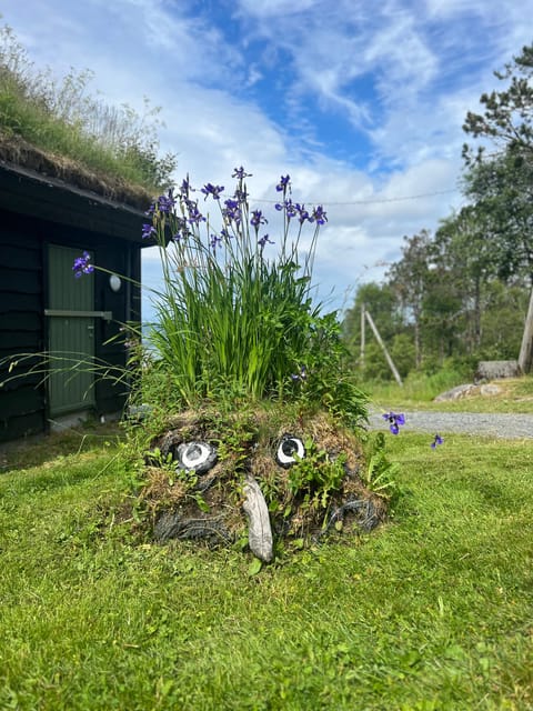 Bergen Magical Nature Tour | ViFlowExperience - Key details at a glance
