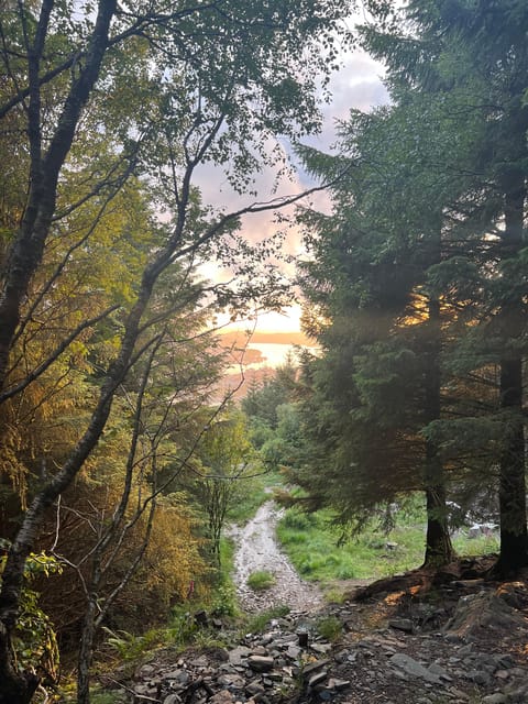 Bergen Magical Nature Tour | ViFlowExperience - Should you book the Bergen Magical Nature Tour?