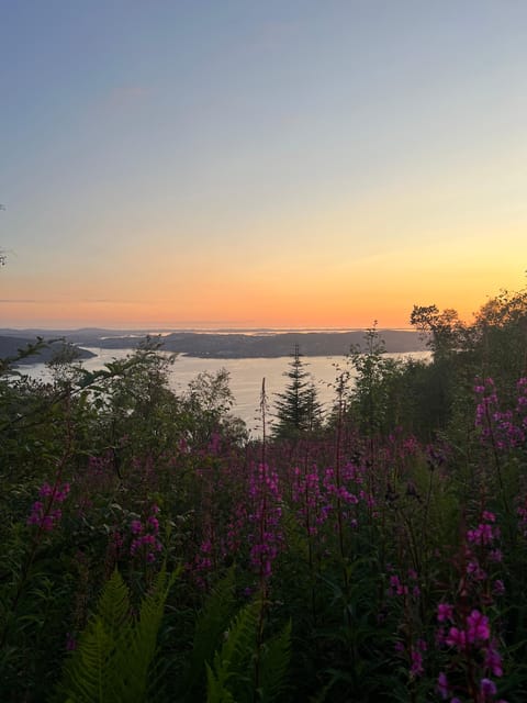 Bergen Magical Nature Tour | ViFlowExperience - Why Tamara’s personal approach matters