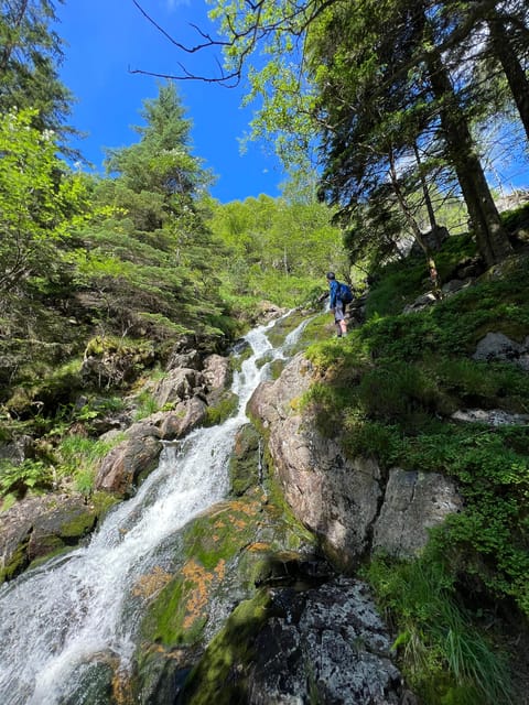 Bergen Magical Nature Tour | ViFlowExperience - The sauna and fjord dip: worthwhile extras or not?