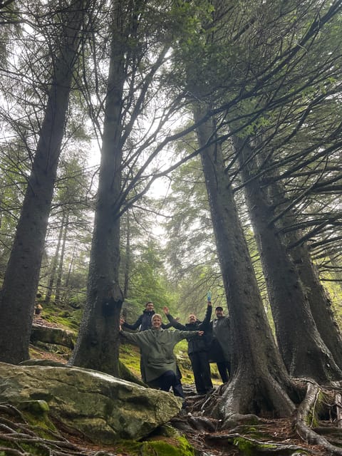 Bergen Magical Nature Tour | ViFlowExperience - Timing, weather, and practical preparation
