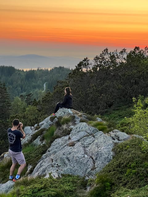 Bergen Magical Nature Tour | ViFlowExperience - A flexible 3.5-hour walk through Fløyen