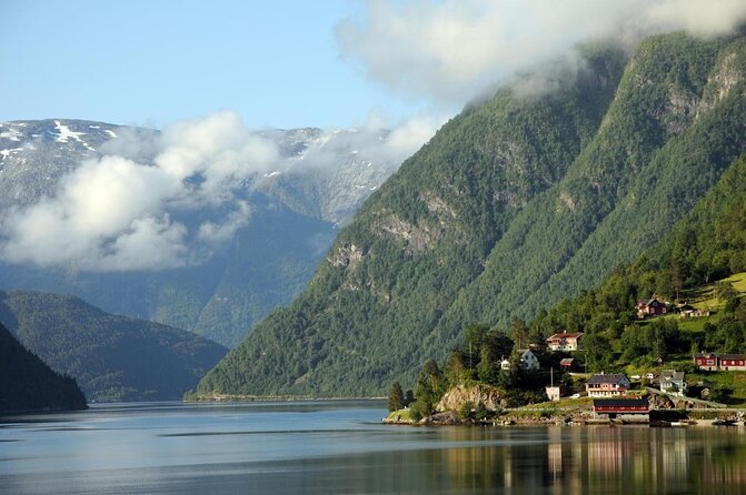 Bergen: Mostraumen Fjord Cruise - Wildlife sightings depend on luck