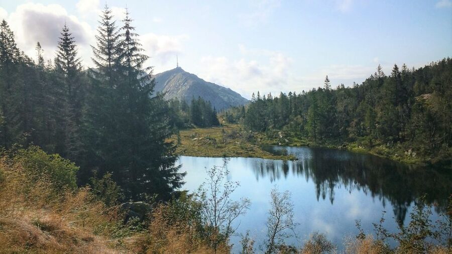Bergen: Mountain hike on top of Bergen - Public tour - Why this hike gives you more than the usual Bergen viewpoint