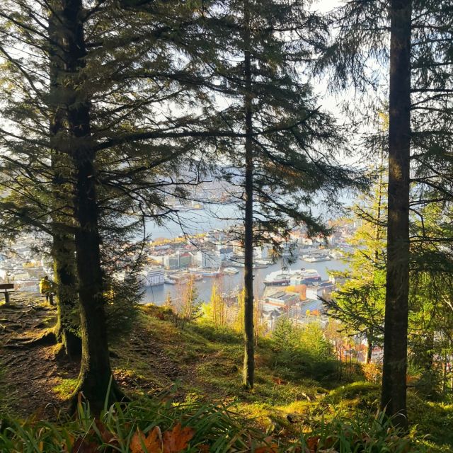 Bergen: Mountain hike on top of Bergen - Public tour - What to pack for Bergen’s mountain weather