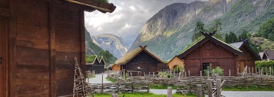 Bergen: Nærøyfjord Cruise and Flåm Railway Ride to Oslo - Key details before you book