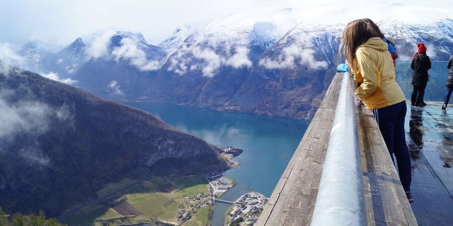 Bergen: Nærøyfjorden, Flåm, and Stegastein Guided Bus Tour - Who should book this tour?