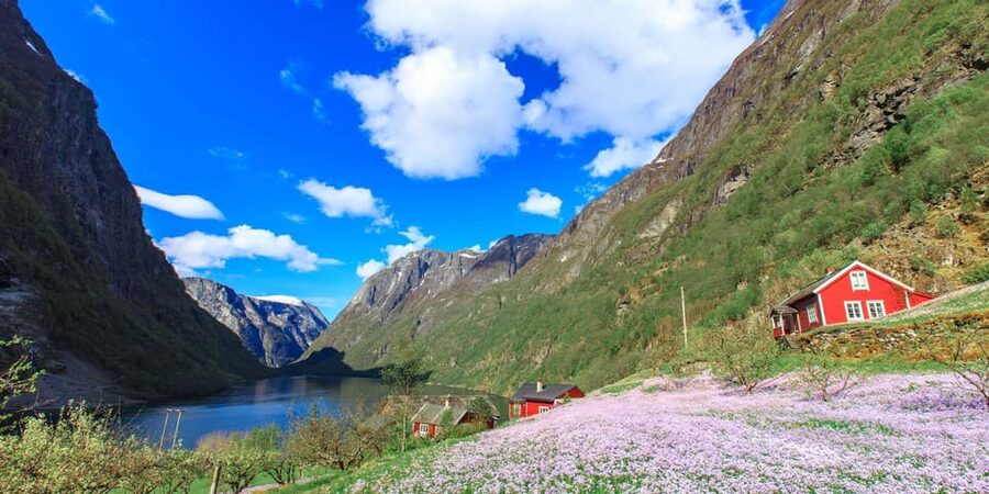Bergen: Nærøyfjorden, Flåm, and Stegastein Guided Bus Tour - Gudvangen and the road through western Norway