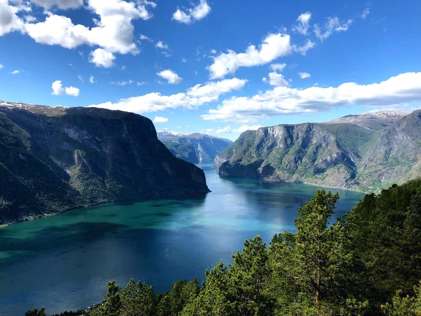 Bergen: Nærøyfjorden, Flåm, and Stegastein Guided Bus Tour - The guide can make or break a long day