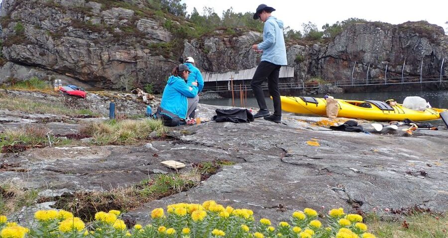 Bergen: Øygarden Islets Guided Kayaking Tour - Leaving Bergen for Øygarden’s small islands