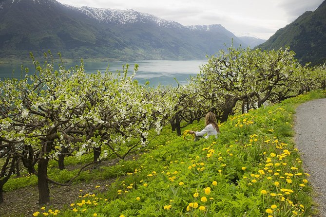 Bergen: Private Full-Day Roundtrip to Hardangerfjord with cruise - Lunch with Norwegian specialties