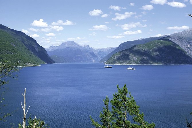 Bergen: Private Full-Day Roundtrip to Hardangerfjord with cruise - Vøringsfossen from the viewing platforms