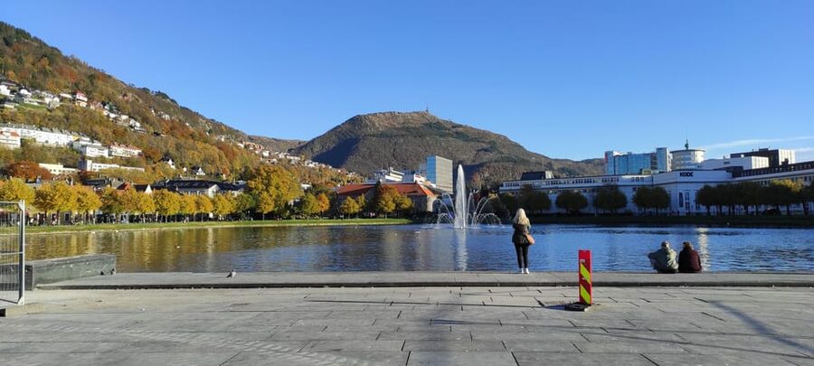 Bergen: Private tour in your own language - Who will get the most from this Bergen tour