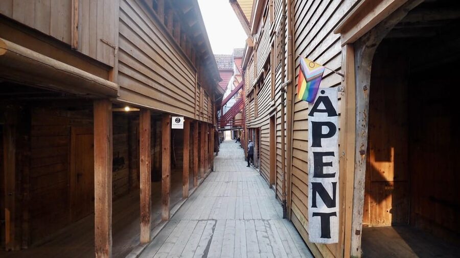 Bergen: Private tour in your own language - What the guide adds to the experience