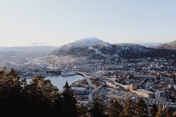 Bergen Private Walking Tour with a Local - A private introduction to Bergen, not a fixed sightseeing script