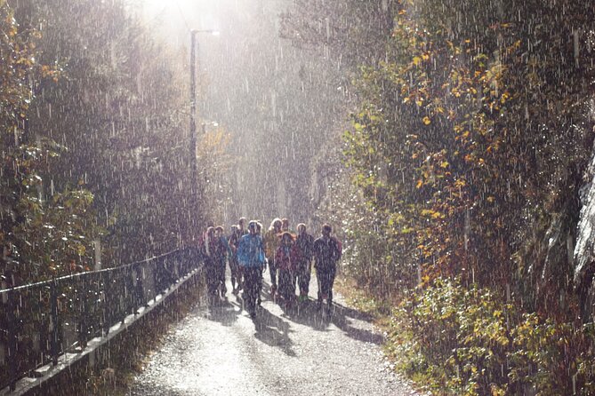 Bergen Private Walking Tour with a Local - Nordnes and the quieter side of the city