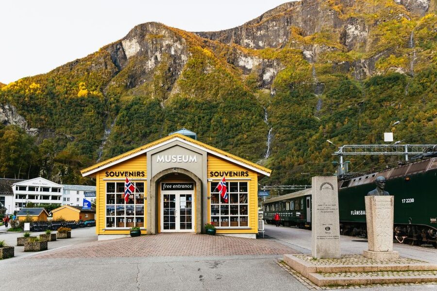 Bergen: Self-Guided Round-Trip Full-Day Excursion - Bergen to Voss on the Bergen Railway