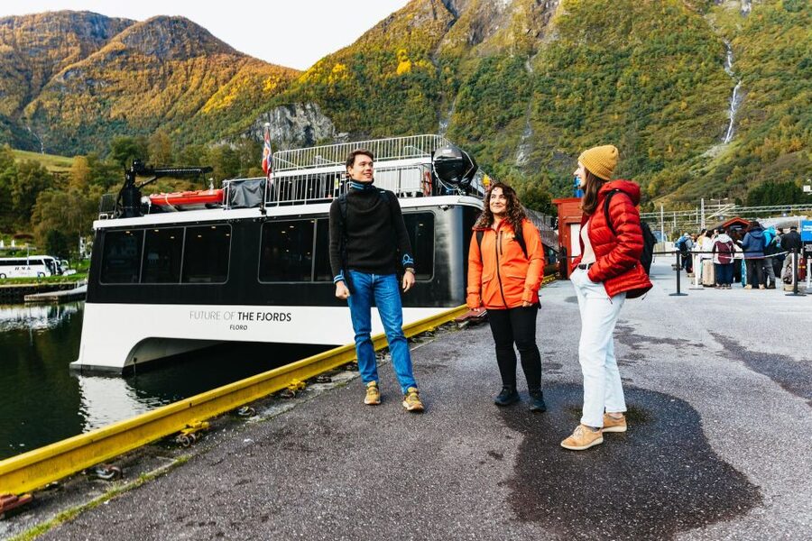 Bergen: Self-Guided Round-Trip Full-Day Excursion - Flåm and the famous mountain railway