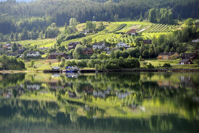 Bergen: Self-Guided Roundtrip (Sognefjord Cruise 5h & Flamsbana) - The big picture: a self-guided day through Norway’s fjords