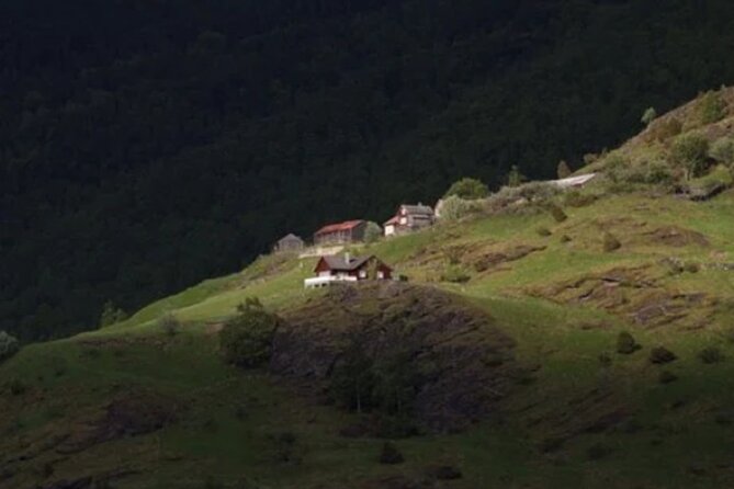 Bergen to Flam "The King of Fjords" One-Way or Round-Trip Cruise Ticket - Arriving in Flåm with time to make your own plan