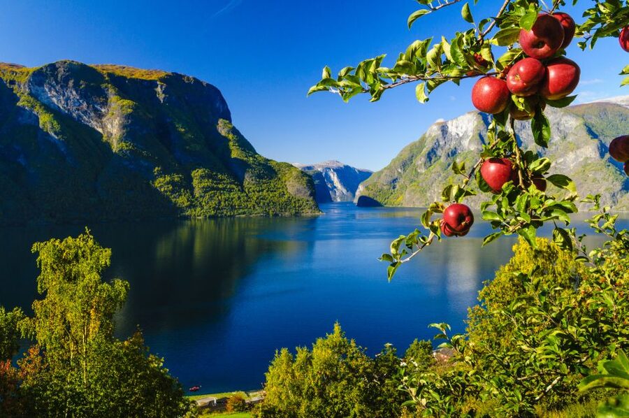 Bergen: Viking Village, Nærøyfjord Cruise & Flåm Railway - Key points to know before booking