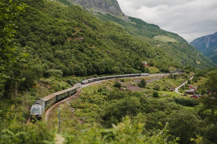 Bergen: Viking Village, Nærøyfjorden Cruise and Flåm Railway - Key points to know before booking