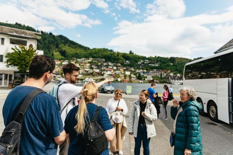 Bergen: Waterfalls of Hardangerfjord Shore Excursion - Price, timing, and who gets the best value