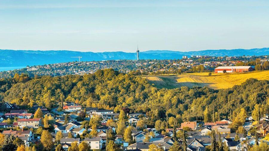 Best of Trondheim: Private Walking Tour with a Local - Torget Square and the food side of Trondheim