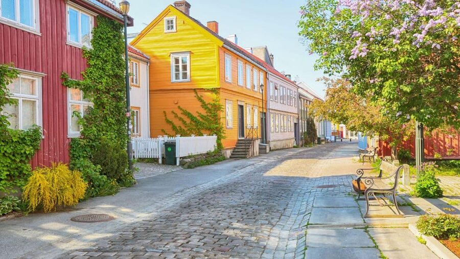 Best of Trondheim: Private Walking Tour with a Local - Should you book Best of Trondheim?