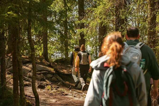 Best View of the Oslofjord Hike - Why this is a good way to see Oslo