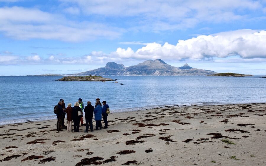 Bodø: Arctic Coastal Walk - Starting at Hurtigruten Quay in Bodø