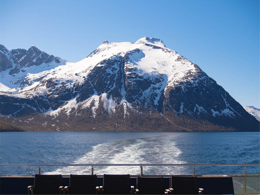 Bodø: Beiar Fjord & Saltstraument Cruise - A quiet start from Bodø’s waterfront