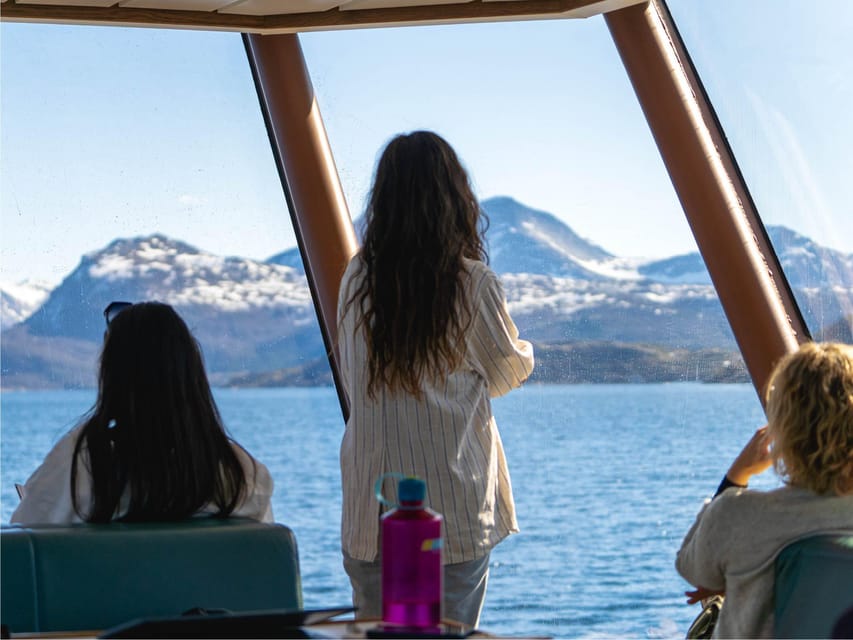 Bodø: Beiar Fjord & Saltstraument Cruise - What $103 buys you