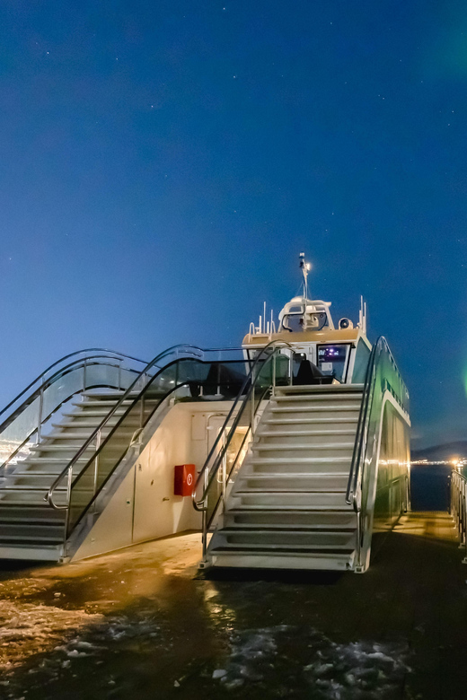 Bodø: Northern Lights Cruise - Indoor comfort, café service, and what to bring
