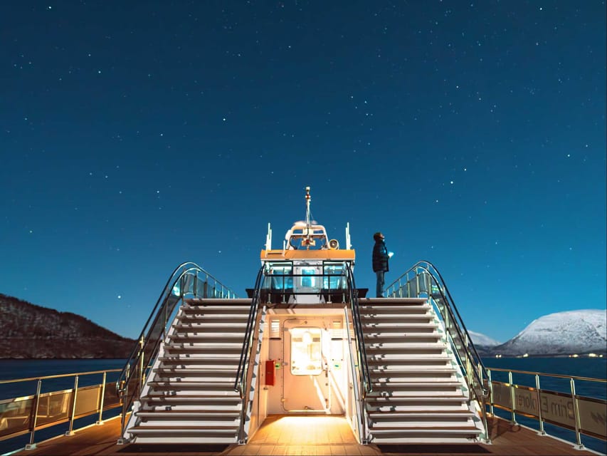 Bodø: Northern Lights Cruise - Who should choose this Bodø cruise?
